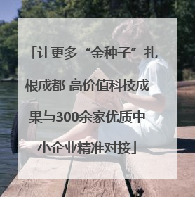 让更多“金种子”扎根成都 高价值科技成果与300余家优质中小企业精准对接