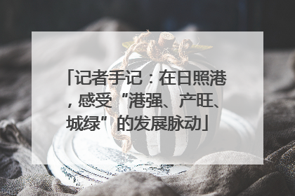 记者手记：在日照港，感受“港强、产旺、城绿”的发展脉动