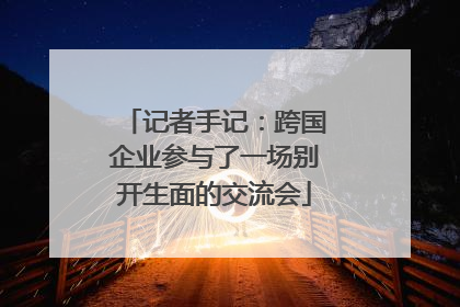 记者手记：跨国企业参与了一场别开生面的交流会