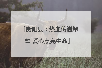 衡阳县：热血传递希望 爱心点亮生命