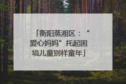 衡阳蒸湘区：“爱心妈妈”托起困境儿童别样童年