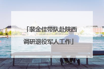 裴金佳带队赴陕西调研退役军人工作