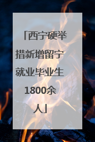 西宁硬举措新增留宁就业毕业生1800余人