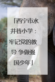 西宁市水井巷小学：牢记党的教导 争做强国少年