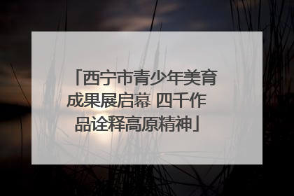 西宁市青少年美育成果展启幕 四千作品诠释高原精神