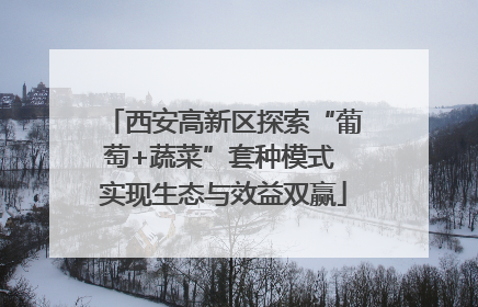 西安高新区探索“葡萄+蔬菜”套种模式 实现生态与效益双赢