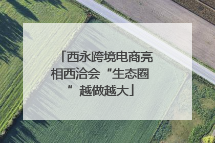 西永跨境电商亮相西洽会“生态圈”越做越大