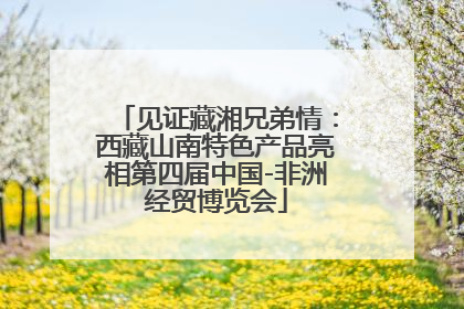 见证藏湘兄弟情：西藏山南特色产品亮相第四届中国-非洲经贸博览会