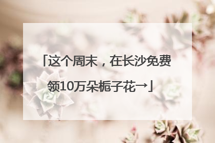 这个周末，在长沙免费领10万朵栀子花→