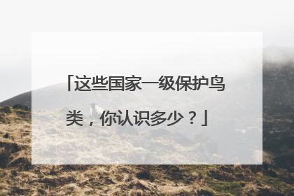 这些国家一级保护鸟类，你认识多少？
