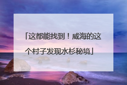 这都能找到！威海的这个村子发现水杉秘境