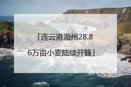 连云港海州28.86万亩小麦陆续开镰