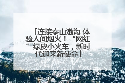 连接泰山渤海 体验人间烟火！“网红”绿皮小火车，新时代迎来新使命