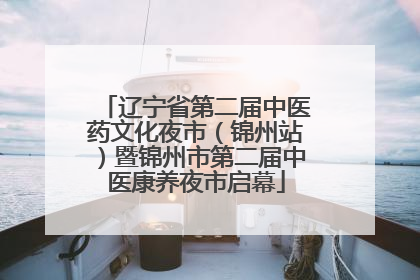 辽宁省第二届中医药文化夜市（锦州站）暨锦州市第二届中医康养夜市启幕