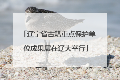 辽宁省古籍重点保护单位成果展在辽大举行