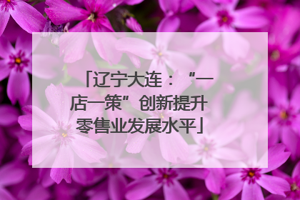 辽宁大连：“一店一策”创新提升零售业发展水平