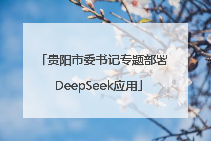 贵阳市委书记专题部署DeepSeek应用