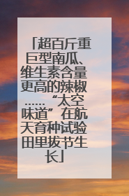 超百斤重巨型南瓜、维生素含量更高的辣椒……“太空味道”在航天育种试验田里拔节生长