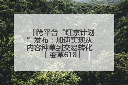 跨平台“红京计划”发布：加速实现从内容种草到交易转化丨变革618