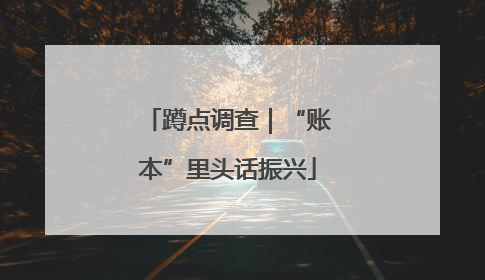 蹲点调查｜“账本”里头话振兴