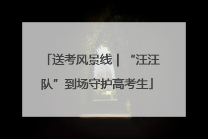送考风景线｜“汪汪队”到场守护高考生