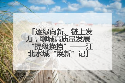 逐绿向新、链上发力，聊城高质量发展“提级换挡”——江北水城“焕新”记