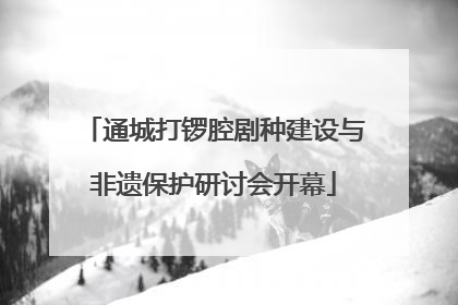 通城打锣腔剧种建设与非遗保护研讨会开幕