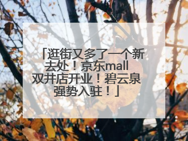 逛街又多了一个新去处！京东mall双井店开业！碧云泉强势入驻！
