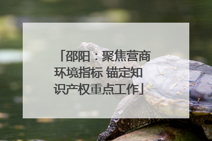 邵阳：聚焦营商环境指标 锚定知识产权重点工作