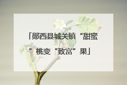 郧西县城关镇“甜蜜”桃变“致富”果