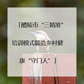 醴陵市“三精准”培训模式锻造乡村健康“守门人”