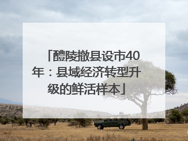 醴陵撤县设市40年：县域经济转型升级的鲜活样本