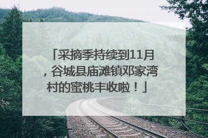 采摘季持续到11月，谷城县庙滩镇邓家湾村的蜜桃丰收啦！