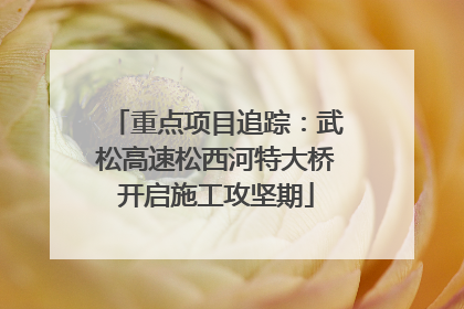 重点项目追踪：武松高速松西河特大桥开启施工攻坚期