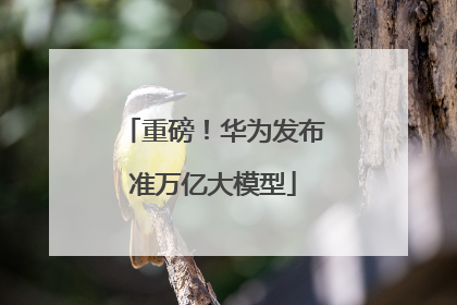 重磅！华为发布准万亿大模型