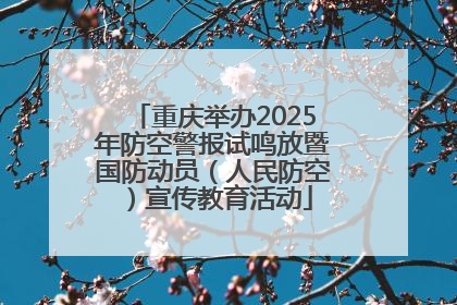 重庆举办2025年防空警报试鸣放暨国防动员（人民防空）宣传教育活动
