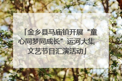 金乡县马庙镇开展“童心同梦同成长”运河大集文艺节目汇演活动