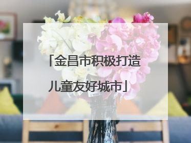 金昌市积极打造儿童友好城市