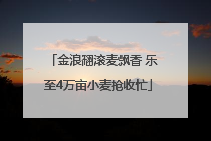 金浪翻滚麦飘香 乐至4万亩小麦抢收忙