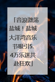 音浪激荡盐城！盐城大洋湾音乐节吸引5.4万乐迷共赴狂欢