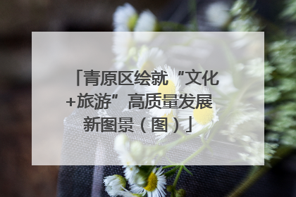 青原区绘就“文化+旅游”高质量发展新图景（图）