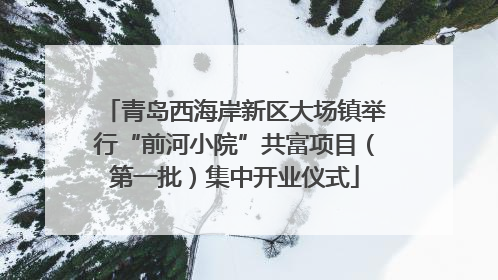 青岛西海岸新区大场镇举行“前河小院”共富项目（第一批）集中开业仪式