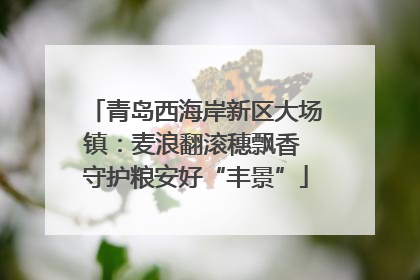 青岛西海岸新区大场镇：麦浪翻滚穗飘香 守护粮安好“丰景”