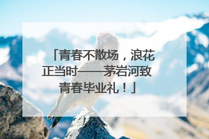 青春不散场，浪花正当时——茅岩河致青春毕业礼！
