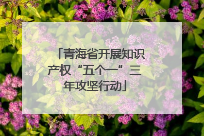 青海省开展知识产权“五个一”三年攻坚行动