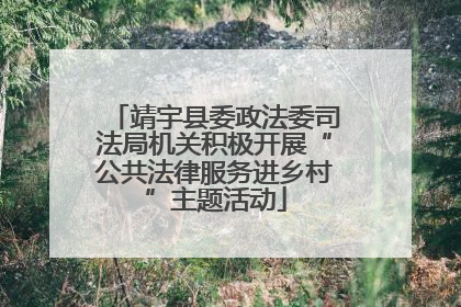 靖宇县委政法委司法局机关积极开展“公共法律服务进乡村”主题活动