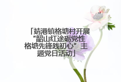 靖港镇格塘村开展“韶山红途砺党性 格塘先锋践初心”主题党日活动