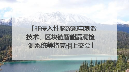 非侵入性脑深部电刺激技术、区块链智能漏洞检测系统等将亮相上交会