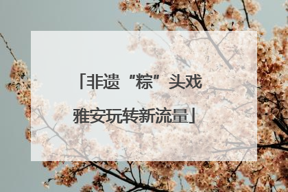 非遗“粽”头戏 雅安玩转新流量