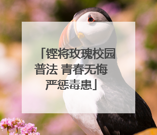 铿将玫瑰校园普法 青春无悔严惩毒患